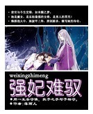 强妃难驭 强妃难驭
