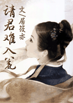 请君难入瓮封面