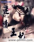 迷情王妃 迷情王妃