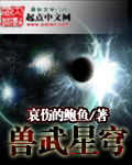 兽武星穹封面