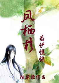 凤栖梧-为伊憔悴封面