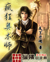 疯狂奥术师封面