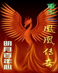 重生之凤凰传奇封面