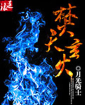 焚天玄火封面