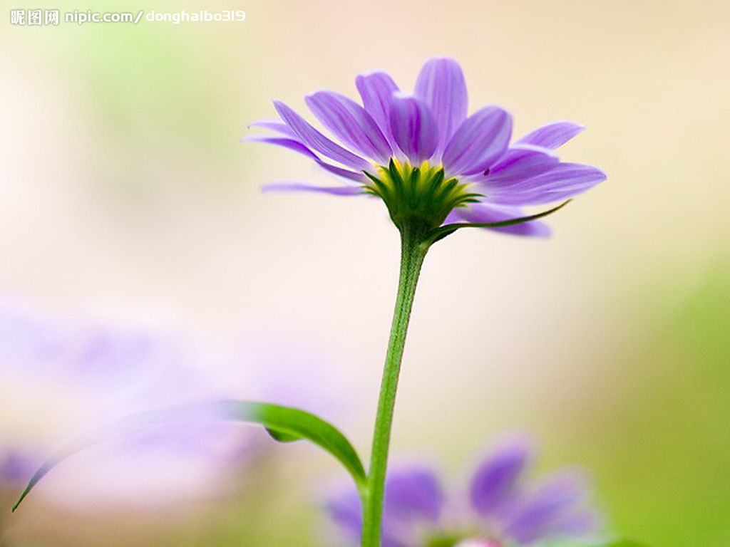 穿越之就是皮太厚 穿越之就是皮太厚