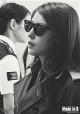 丹鳳朝陽 丹鳳朝陽