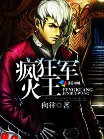 疯狂军火王封面