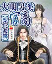 大明另类官商封面