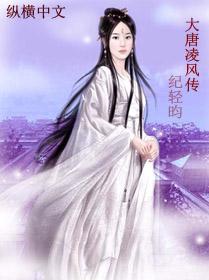 大唐凌风传封面