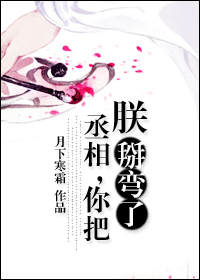 丞相,你把朕掰弯了封面