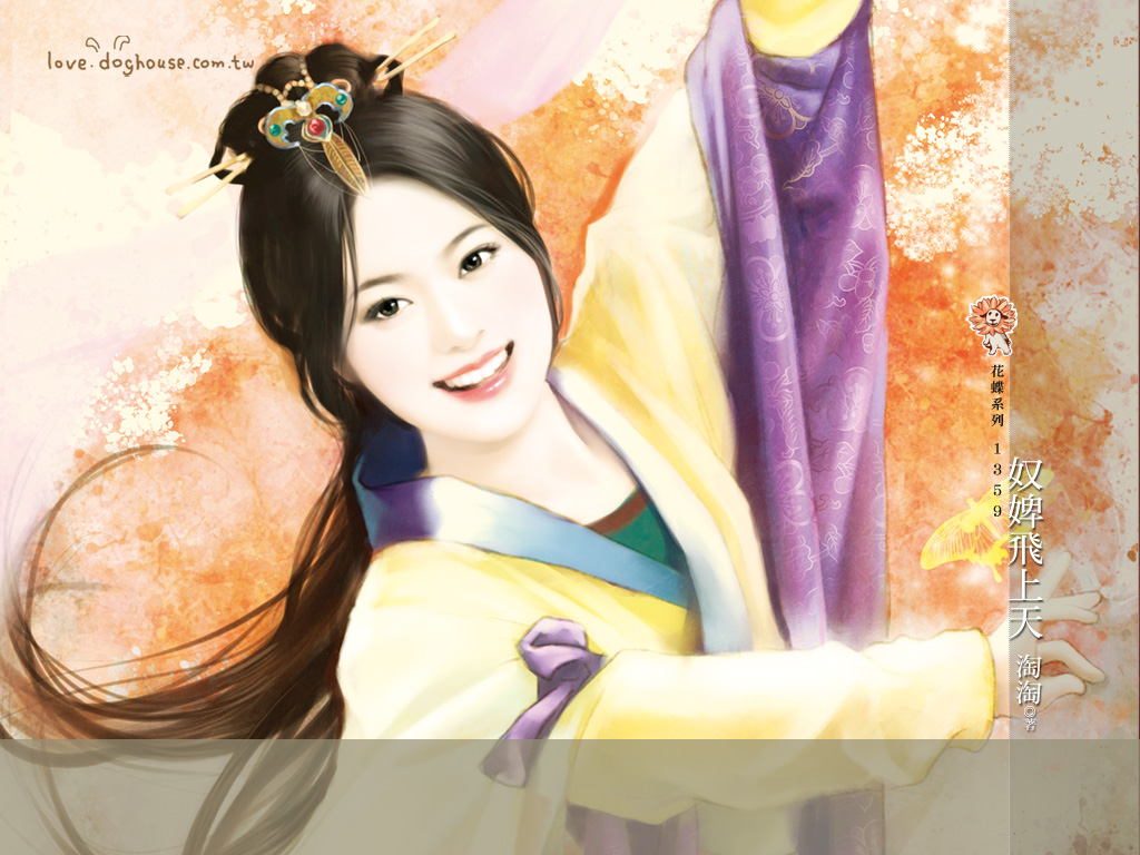 奴婢飞上天封面