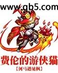 费伦的游侠猫 费伦的游侠猫