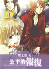 公平的报复封面