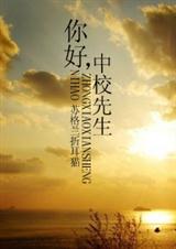 你好,中校先生封面