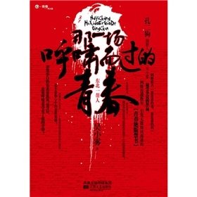 那一场呼啸而过的青春封面