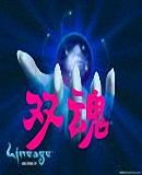 (猎人同人)双魂封面