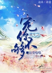 重生之宠你不够封面