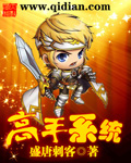 高手系统 高手系统