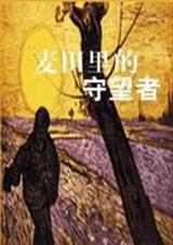 麦田里的守望者封面