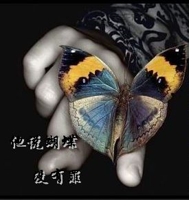 他说蝴蝶没有罪 他说蝴蝶没有罪