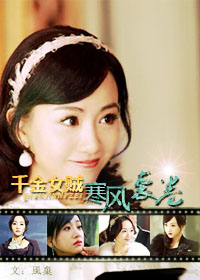 (千金女贼同人)千金女贼寒风袭卷封面