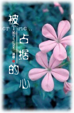 被占据的心封面