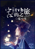 (综同人)宁心的tvb之旅人封面