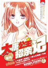 大唐公主招亲记(全)封面