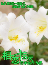 相恋十五天 相恋十五天