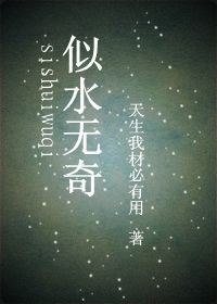 似水无奇封面