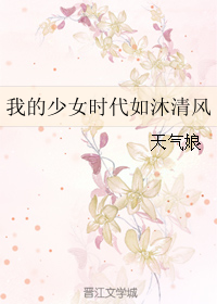 (我的少女时代同人)我的少女时代如沐清风封面