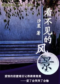 看不见的风景 看不见的风景