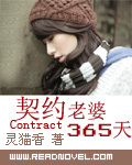 契约老婆365天封面
