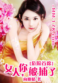 危险首席:女人,你被捕了 危险首席:女人,你被捕了