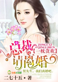 总裁请离婚封面