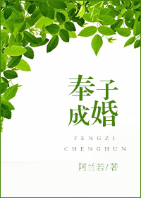 奉子成婚封面