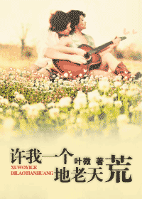 许我一个地老天荒封面