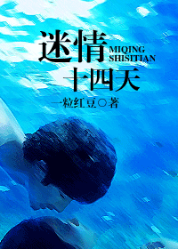 迷情十四天封面