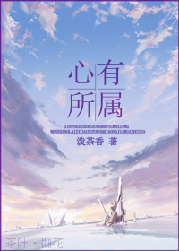 心有所属封面