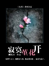 寂寞堇花开封面