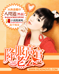 降服高官老公封面