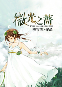 微光之蔷封面