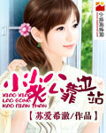 小小老公靠边站封面