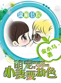 萌宠,小妻要劫色封面