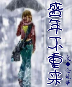 盛年不重来封面