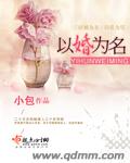 以婚为名封面