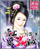 爱上采花贼封面