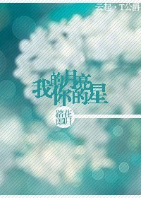 我的月亮你的星封面