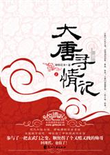 大唐寻情记封面