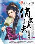 俏皮小大夫封面